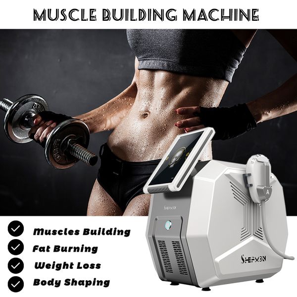 Machine d'élimination des graisses Emslim approuvée CE, Instrument électromagnétique de mise en forme du corps, renforcement musculaire, double poignée, fonctionne indépendamment