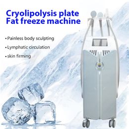 Machine amincissante approuvée CE Cryoskin Cryoslim Machine thermique et froide
