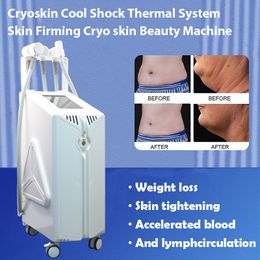 Machine de congélation des graisses par cryolipolyse, certificat CE, corps cryo, amincissant, Cryoskin t-shock, raffermissement de la peau