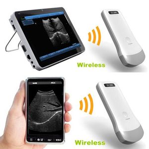 Sonde à ultrasons WIFI chaude CE/ISO/sonde convexe sans fil sonographie à sonde micro-convexe Uprobe, 64/128 éléments uprobe usg echo