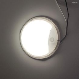 Plafondlampen 12V LED Porch Lichten/plafondkoepelverlichting/pancake Licht warm wit wit met schakelaar Vervanging gloeilampen van RV Camper Motor Home