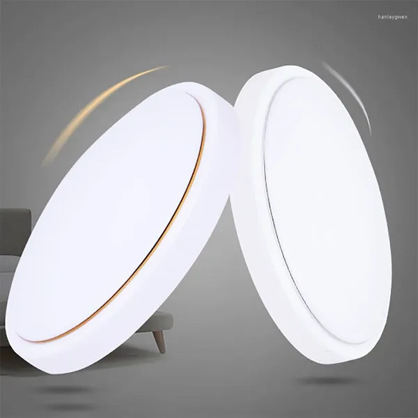 Plafonniers 24/36/48W Simple fil d'or argenté LED rond acrylique lampe de chambre à coucher luminaire pour salon Foyer