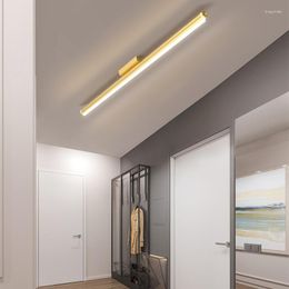 Plafonniers Allée Lumière Couloir Creative Personnalité Bande LED Éclairage Moderne Simple Entrée Balcon Vestiaire