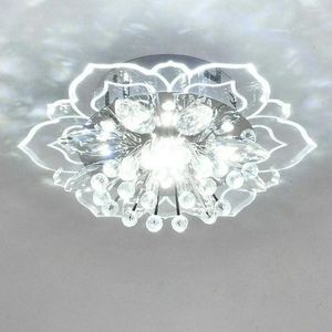Plafondlampen creatief led licht kristallen bloem kroonluchter slaapkamer gang hal woonkamer hanglamp lamp keuken decoratie