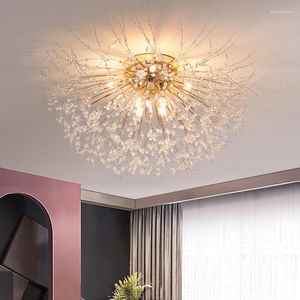 Plafondlampen kristal Dandelie licht woonkamer slaapkamer huisdecor binnen verlichtingscorridor beugel lamp