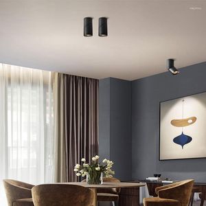 Luces de techo Lámparas LED montadas en la superficie de la superficie 10W Light AC110V-240V para sala de estar