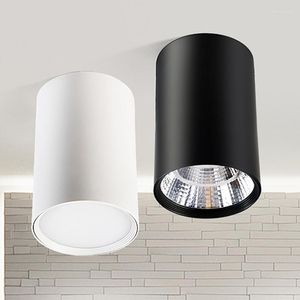 Plafondlampen dimbaar oppervlak gemonteerd downlight hoog vermogen verzonken ledverlichting 7W 9W 12W 15W spot armatuur