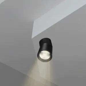 Plafondverlichting Opvouwbare downlight Spotlight Indoor Accent Gang voor enkele armatuur LED-montage