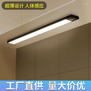 Plafondlampen Intelligent menselijk lichaam inductie LED -licht Oplaadbare draadloze lange strip Kitchen Wijnkast Garderobe