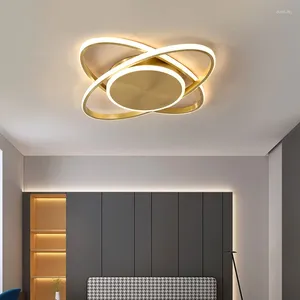 Plafondlampen lampontwerp LED Moderne gangverlichtingsarmatuur industriële verlichtingsarmaturen