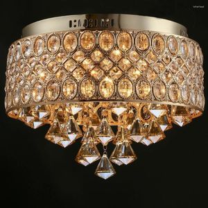Plafondlampen lamp ontwerp licht kleur veranderende led verlichting huis eetkamer