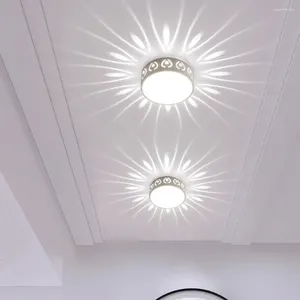 Plafonniers Lampe LED Lampe d'éclairage intérieur à économie d'énergie Protégez les yeux Entrée Installation facile Luminosité Durable pour le couloir d'allée