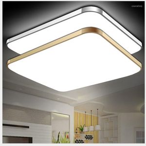 Plafondlampen LED-licht Modern Minimalisme Hoge helderheid Rechthoekige afstandsbediening Remote Regel Verstelbare Ultradunne snoepkleurlamp