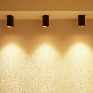 Plafondverlichting LED Enkele Spotlampjes Verlichting 12W Licht Aluminium Lamp Body Decorations Verlichting voor thuis