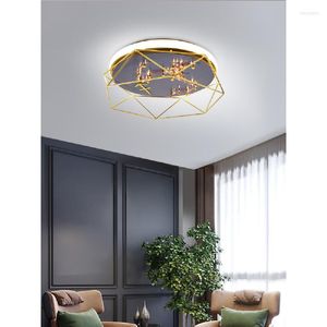 Plafondlampen led twaalf constellatie creatieve lampen voor woonkamer slaapkamer binnen deco lamp modern acryl kunstpaneel licht