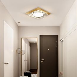 Luces de techo LED modernas para Homeentrance Balcón Lámpara de hierro acrílico Vestíbulo Pasillo Luminaria de color negro dorado Lustre