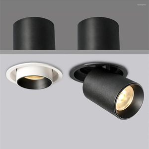 Plafondlampen rekbare verzonken downlight single/dubbele kop LED roterende spotlamp voor woonkamer restaurant