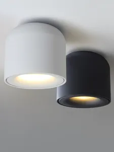 Plafondlampen Opbouw LED-lichtspot voor woonkamer Slaapkamer Keuken Ganglamp AC 90v-260v