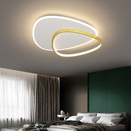 Plafondlampen Ultradunne LED Moderne eenvoudige slaapkamerlamp Huiskunst Studie Verlichting Keuken Balkon Zwart/Gouden Fixtureceiling