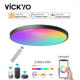 Plafondlampen Vickyo Light HomeKit Smart WiFi App Scan -code maken rechtstreeks verbinding met Remote Alexa Voice Control Timing Switch