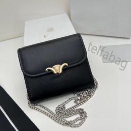 Portefeuilles CEL de haute qualité Clip Cline Designer Sac à bandoulière Walle's Chain Wallelet Fashion Hands sacs Sacs de crédit Holder Mini portefeuille Pouche de porte-clés Zippy avec boîte