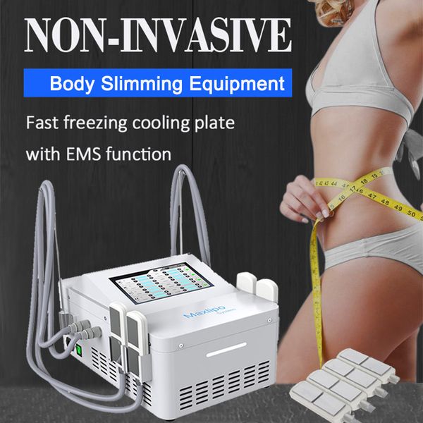 Appareil de cryothérapie Cryo Réduction de la cellulite Machine de perte de graisse Body Shaping Building Muscle Cryolipolysis EMS 2 IN 1 Therapy Safe and Effective