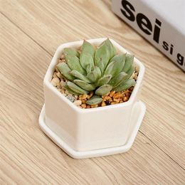 Pots de bonsaï en céramique, mini pots de fleurs en porcelaine blanche, fournisseurs pour l'ensemencement de succulentes jardinières de pépinière d'intérieur, DBC BH4281K