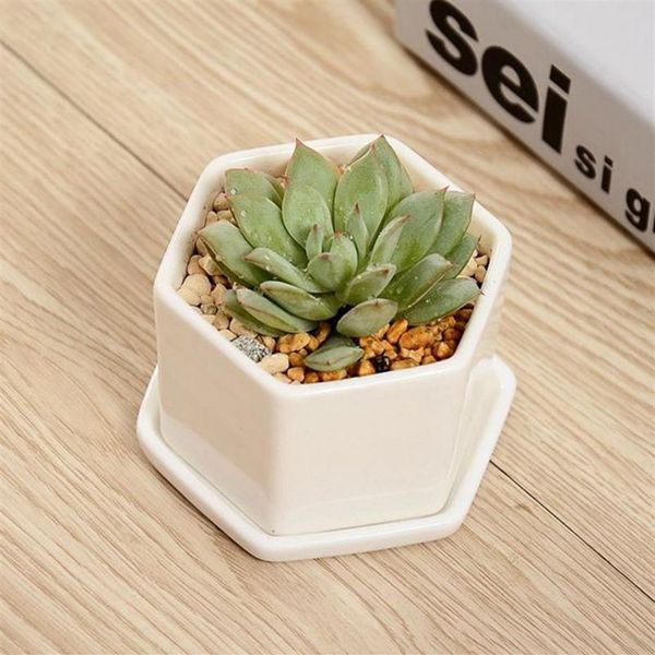 Pots de bonsaï en céramique, mini pots de fleurs en porcelaine blanche, fournisseurs pour semis de succulentes jardinières d'intérieur, DBC BH4249u