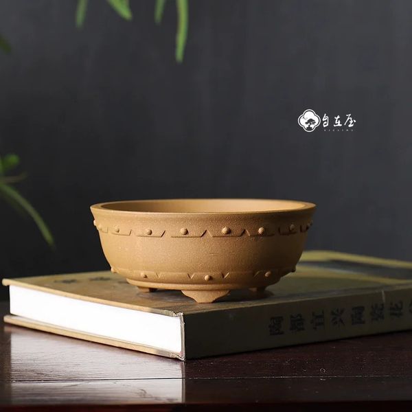 Cercle en céramique dromnail modéré de bonsaï Pot tradition succulentes en Chine Décoration de table de jardin 240409