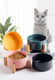 Ceramic Pet Bowl Cat Puppy Feeding Suministros de alimentación de mascotas dobles Alimentador de agua de alimentos para perros Accesorios para perros duraderos Opción de color múltiple 2251100