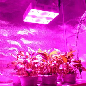 Cf Grow 600W COB LED GROW LICHT