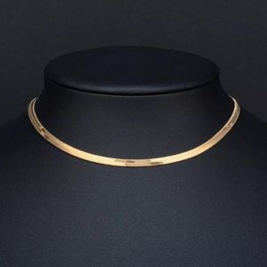 Kettingen 100% roestvrij staal platte visgraat ketting voor vrouwen goud zilver kleur sleutelbeen mes slang choker kettingen 2 5m295Q