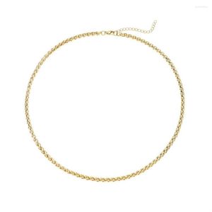 Cadenas 2023 Llegadas Collar largo Acero inoxidable Minimalista Twist Cuerda Cadena Color Oro Grueso para hombres Mujeres Joya