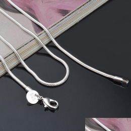 Kettingen 2mm 925 Sterling Sier Snake Chain Necklace 16 18 20 22 24 inch Designer sieraden drop levering kettingen hangers dhxbh