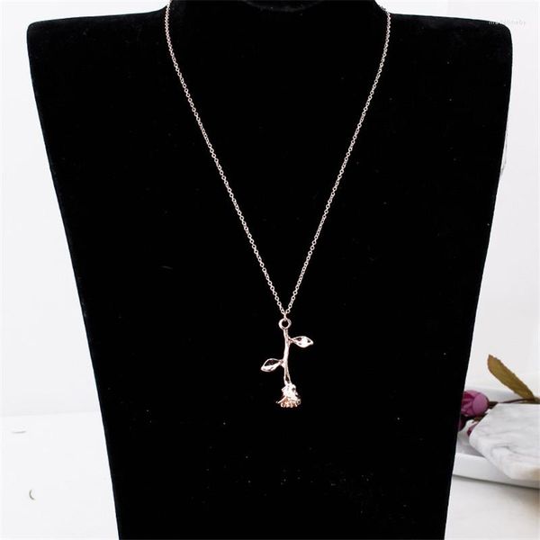 Chaînes 3D Rose Pendentif Charm Collier En Acier Inoxydable Fleur Beauté Et Bête Bijoux Femmes Filles Cadeau De Saint Valentin