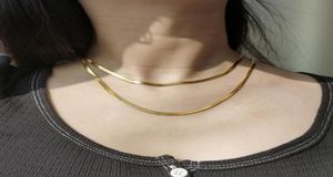 Cadenas Collar de gargantilla de color dorado de 3 mm para mujeres Niñas Cadena de espiga de acero inoxidable Joyería femenina Extensión de 16 pulgadas HDN2238243689
