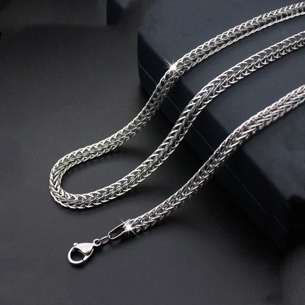 Cadenas Collar largo único de 3 mm Encantos básicos de acero inoxidable Cadena con forma de cola de zorro Hombres Mujeres Joyería de moda 50-55 cm