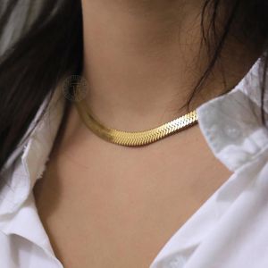 Cadenas de 6mm, collares clásicos de cadena de serpiente para mujeres y niñas, gargantillas de eslabones de espiga de acero inoxidable dorado, regalos de joyería DDN312