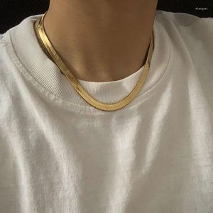 Ketten 7mm 10mm Schlangenkette Für Frauen Männer Gold Farbe Flache Fischgräten Choker Halskette Hip Hop Mode Schmuck geschenk