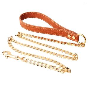 Chaînes AZ 12mm 316L en acier inoxydable chien de compagnie chaîne à maillons cubains solides liens en métal collier d'entraînement pour grand