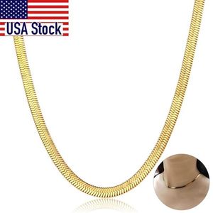 Chains Chic Flat Snake Link Choker Gold Collier Collier en acier inoxydable pour femmes Bijoux de haute qualité Herringbone Chain DN22758