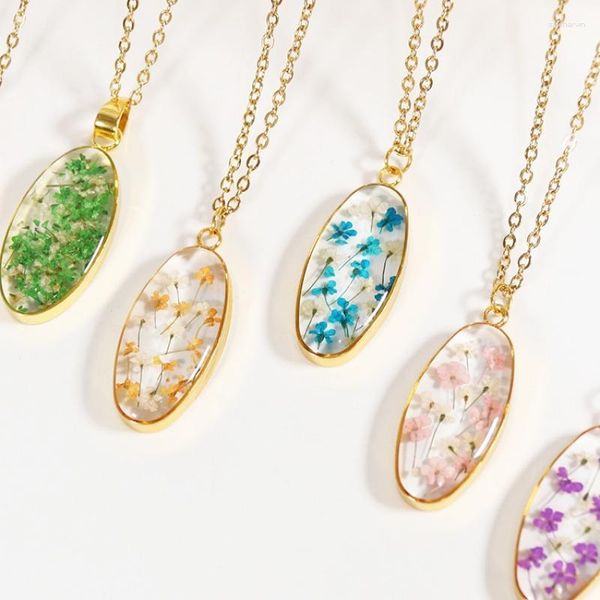 Chaînes Couleur Gypsophile Pendant Spécimen de la plante de fleurs séchées de chaîne en acier inoxy