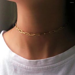 Chaînes Dainty Câble en acier inoxydable Lien Chaîne Collier pour femmes Fille Gold Couleur Paperclip Réglable Drop Cadeau DLKN658