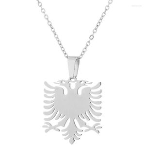 Chains Europe en de Retro Fashion van de Verenigde Staten hebben Albanië MS Eagle roestvrijstalen hangende kettingdieren sleutelbeen ketting