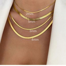 Kettingen Mode Ketting Slang Roestvrij Stalen Ketting Voor Vrouwen Choker Visgraat Goud Zilver Kleur Sieraden
