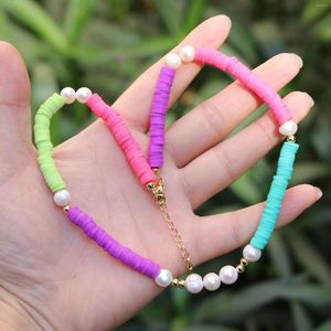 Chaînes perles d'eau douce colliers ras du cou pour femmes couleur or bohême polymère argile perles collier mariage Boho bijoux