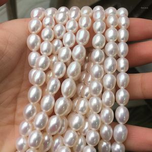 Chaînes Collier de perles d'eau douce Forme ronde avec taille 7-8mm Lustre parfait pour bijoux bricolage brins en vrac1
