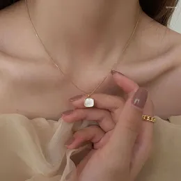 Chaînes de couleur or de luxe collier de coquillage carré pour femmes fille bijoux fins coréen ins mode cadeau de fête d'anniversaire en gros