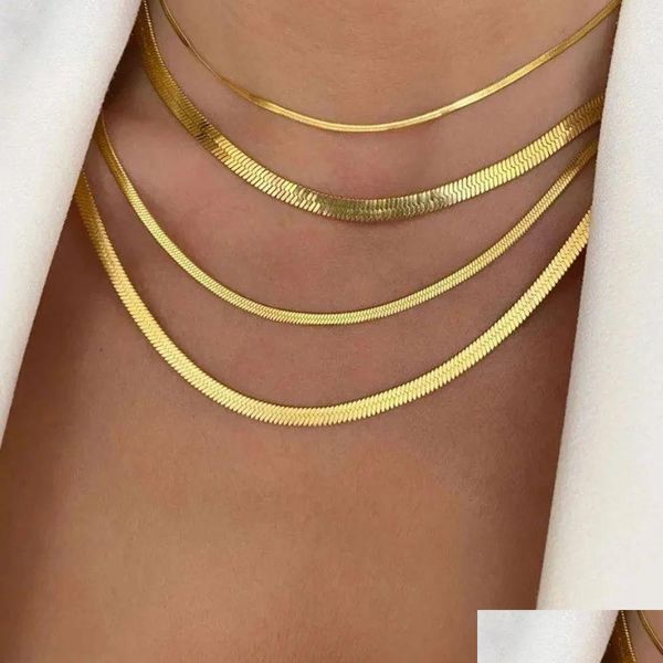 Chaînes Gold Sier Chain Designer Collier Bijoux Rope Cuban pour l'homme Link Men en acier inoxydable Femmes Classic Drop Livrac
