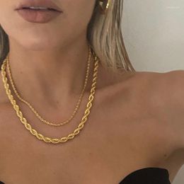 Les chaînes se sentent juste du gros collier de chaîne de corde torsadé pour femmes pour femmes argentés couleurs de couloir en métal bijoux minimalistes
